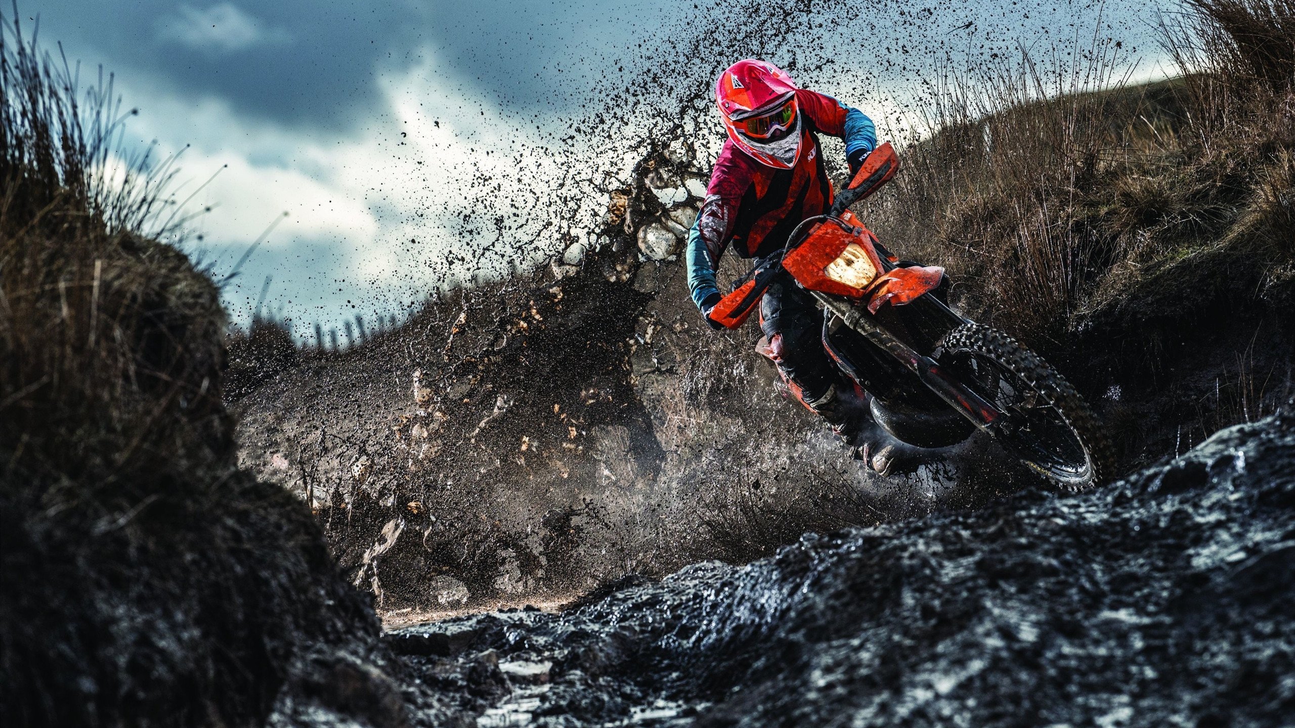 哈利伯顿扛起全队，辽宁队淘汰赛过关篮网