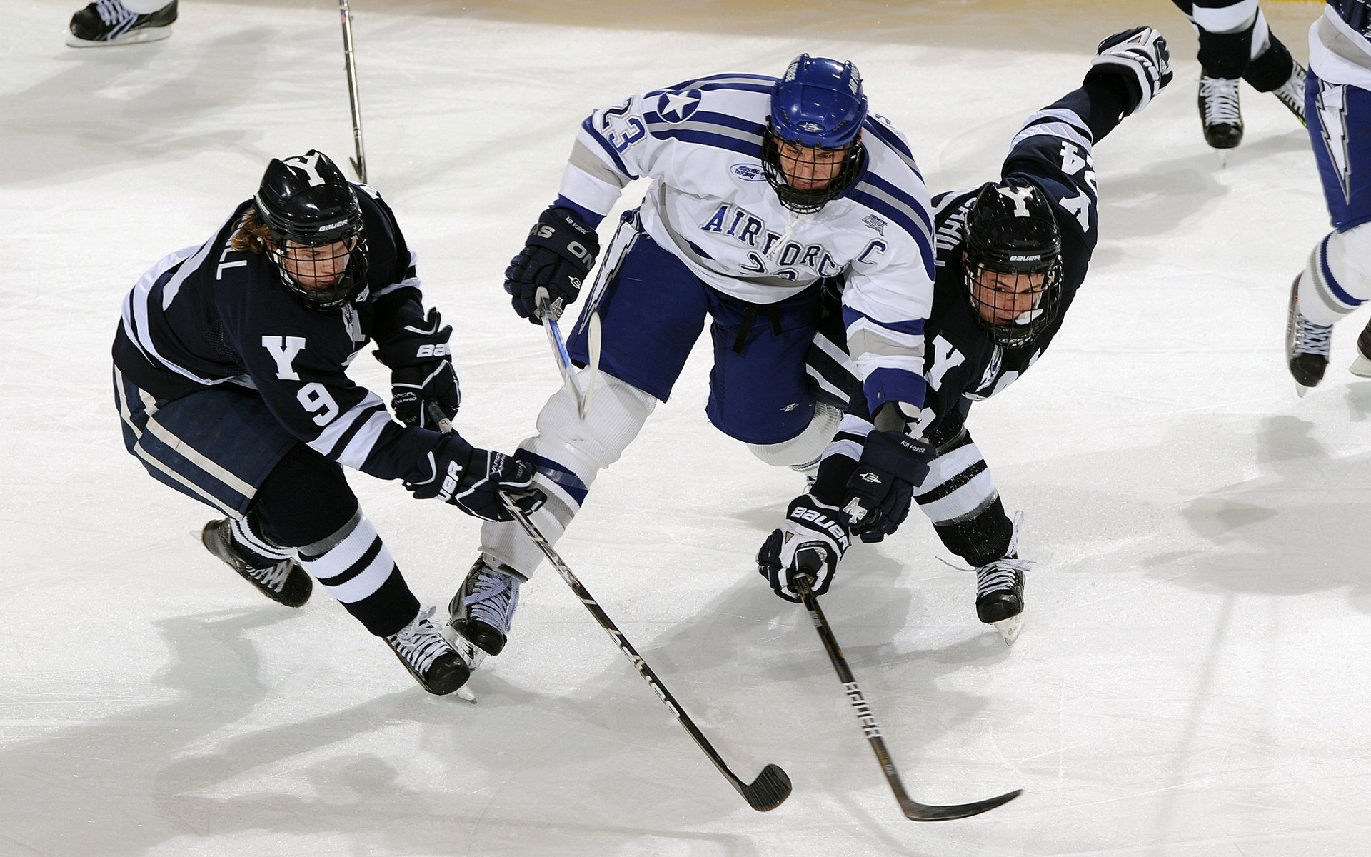 蜂鸣丹佛，当草根意志撞上冠军基因