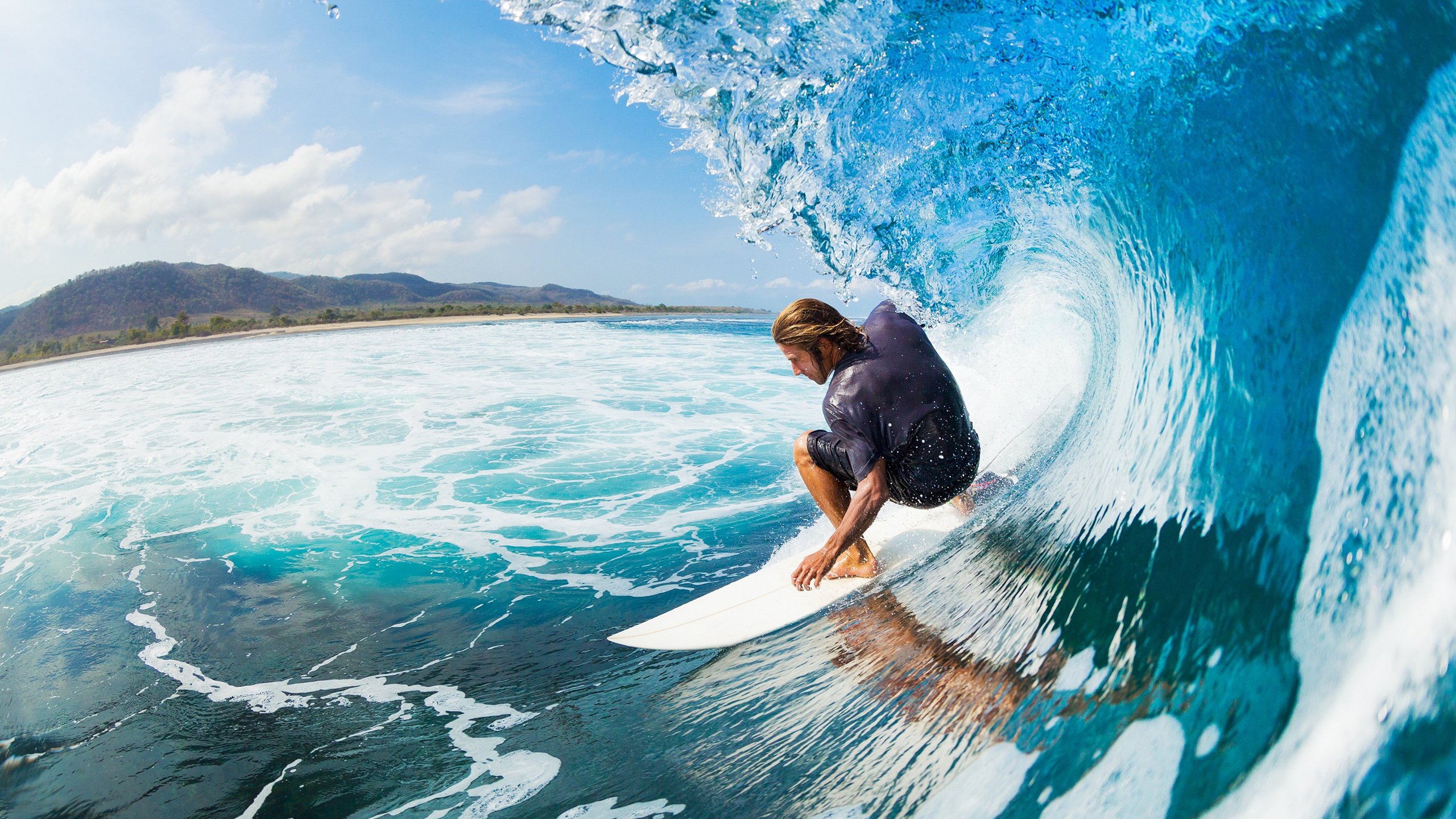 霍勒迪一手遮天，鹈鹕啄碎太阳最后一缕光